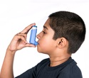 potential-targets-for-the-treatment-of-asthma-or-copd-include-bitter-taste-receptors